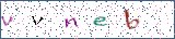 Type the letters shown in the picture