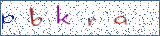 Type the letters shown in the picture