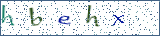 Type the letters shown in the picture
