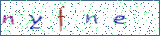 Type the letters shown in the picture