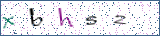 Type the letters shown in the picture