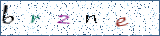 Type the letters shown in the picture