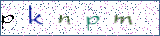 Type the letters shown in the picture