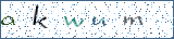 Type the letters shown in the picture