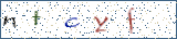 Type the letters shown in the picture
