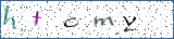Type the letters shown in the picture