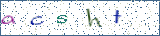 Type the letters shown in the picture