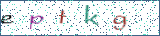 Type the letters shown in the picture