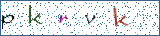 Type the letters shown in the picture