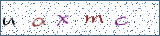Type the letters shown in the picture