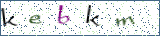 Type the letters shown in the picture