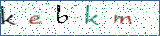 Type the letters shown in the picture