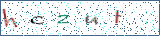 Type the letters shown in the picture