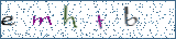 Type the letters shown in the picture