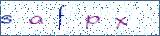 Type the letters shown in the picture