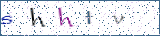 Type the letters shown in the picture