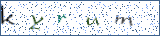 Type the letters shown in the picture