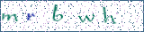 Type the letters shown in the picture