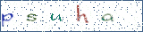Type the letters shown in the picture
