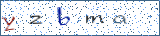 Type the letters shown in the picture
