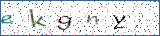 Type the letters shown in the picture