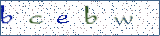 Type the letters shown in the picture