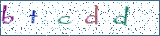 Type the letters shown in the picture