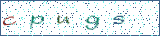 Type the letters shown in the picture