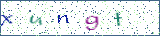 Type the letters shown in the picture