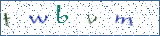 Type the letters shown in the picture
