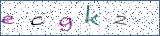 Type the letters shown in the picture