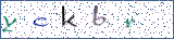 Type the letters shown in the picture