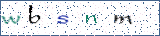 Type the letters shown in the picture
