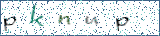 Type the letters shown in the picture