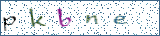 Type the letters shown in the picture