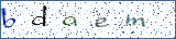 Type the letters shown in the picture