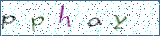 Type the letters shown in the picture