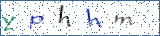 Type the letters shown in the picture