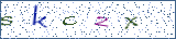 Type the letters shown in the picture