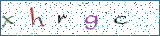 Type the letters shown in the picture