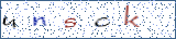 Type the letters shown in the picture