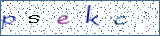 Type the letters shown in the picture