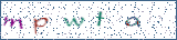 Type the letters shown in the picture