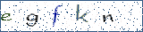 Type the letters shown in the picture