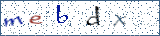 Type the letters shown in the picture