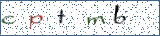 Type the letters shown in the picture