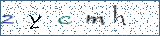 Type the letters shown in the picture