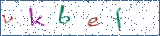 Type the letters shown in the picture
