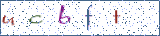 Type the letters shown in the picture