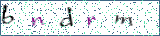Type the letters shown in the picture